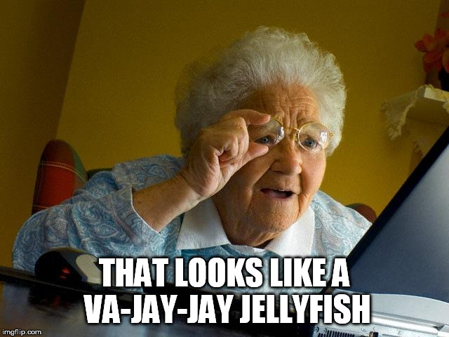 THAT LOOKS LIKE A VA-JAY-JAY JELLYFISH | image tagged in memes,grandma finds the internet | made w/ Imgflip meme maker