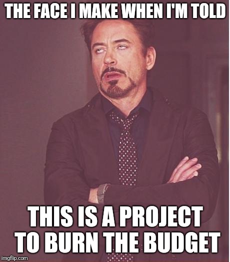 Every year the same thing | THE FACE I MAKE WHEN I'M TOLD; THIS IS A PROJECT TO BURN THE BUDGET | image tagged in memes,face you make robert downey jr | made w/ Imgflip meme maker