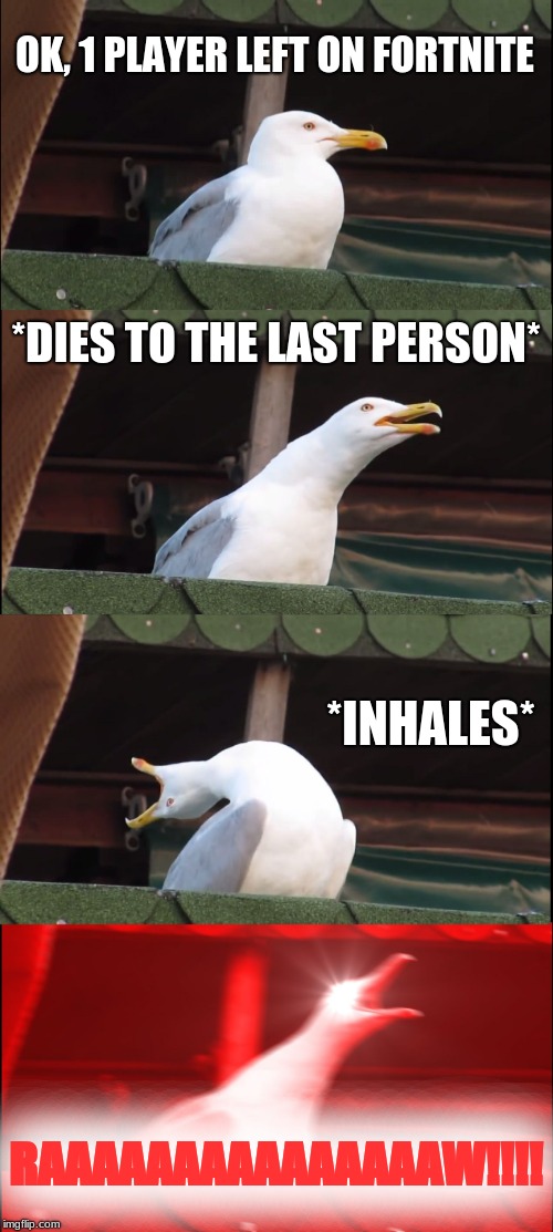 Inhaling Seagull plays fortnite (But is close to victory royal.) | OK, 1 PLAYER LEFT ON FORTNITE; *DIES TO THE LAST PERSON*; *INHALES*; RAAAAAAAAAAAAAAAW!!!! | image tagged in memes,inhaling seagull | made w/ Imgflip meme maker