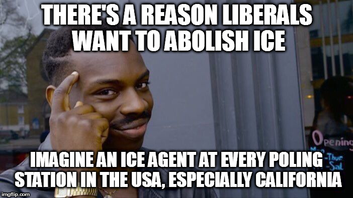 Roll Safe Think About It | THERE'S A REASON LIBERALS WANT TO ABOLISH ICE; IMAGINE AN ICE AGENT AT EVERY POLING STATION IN THE USA, ESPECIALLY CALIFORNIA | image tagged in memes,roll safe think about it,maga,liberal logic | made w/ Imgflip meme maker