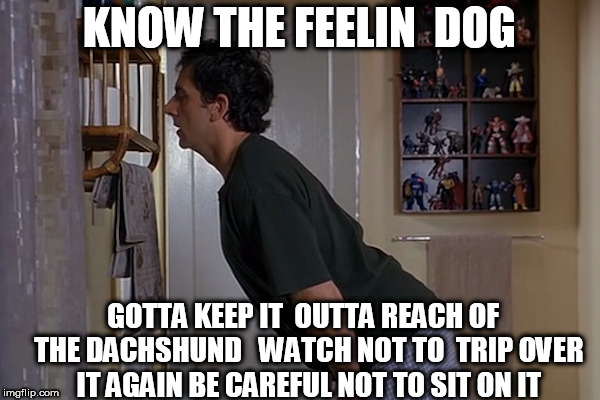 damn this monster is heavy!! | KNOW THE FEELIN  DOG; GOTTA KEEP IT  OUTTA REACH OF  THE DACHSHUND   WATCH NOT TO  TRIP OVER IT AGAIN BE CAREFUL NOT TO SIT ON IT | image tagged in big one,longest yard,well hung | made w/ Imgflip meme maker