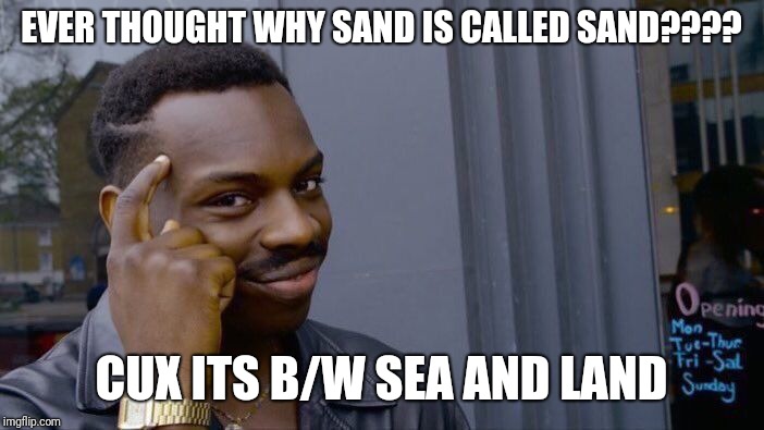 Roll Safe Think About It Meme | EVER THOUGHT WHY SAND IS CALLED SAND???? CUX ITS B/W SEA AND LAND | image tagged in memes,roll safe think about it | made w/ Imgflip meme maker