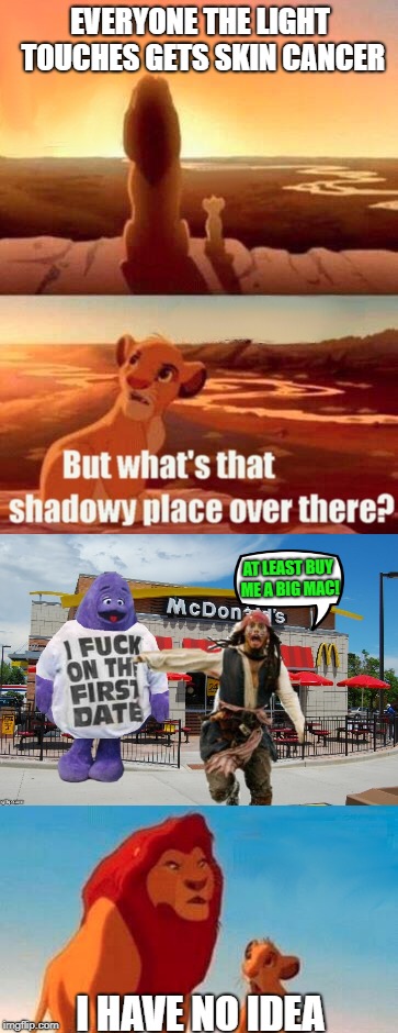 I don't know or care | EVERYONE THE LIGHT TOUCHES GETS SKIN CANCER; AT LEAST BUY ME A BIG MAC! I HAVE NO IDEA | image tagged in memes,whatever,lion king,mcdonalds | made w/ Imgflip meme maker