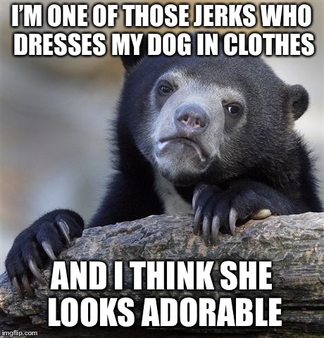 Confession Bear Meme | I’M ONE OF THOSE JERKS WHO DRESSES MY DOG IN CLOTHES; AND I THINK SHE LOOKS ADORABLE | image tagged in memes,confession bear | made w/ Imgflip meme maker