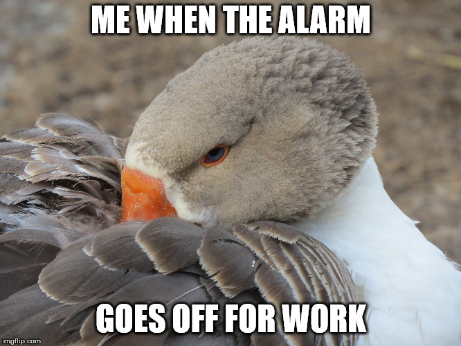 Side Eye | ME WHEN THE ALARM; GOES OFF FOR WORK | image tagged in work | made w/ Imgflip meme maker