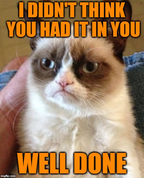 Grumpy Cat Meme | I DIDN'T THINK YOU HAD IT IN YOU WELL DONE | image tagged in memes,grumpy cat | made w/ Imgflip meme maker