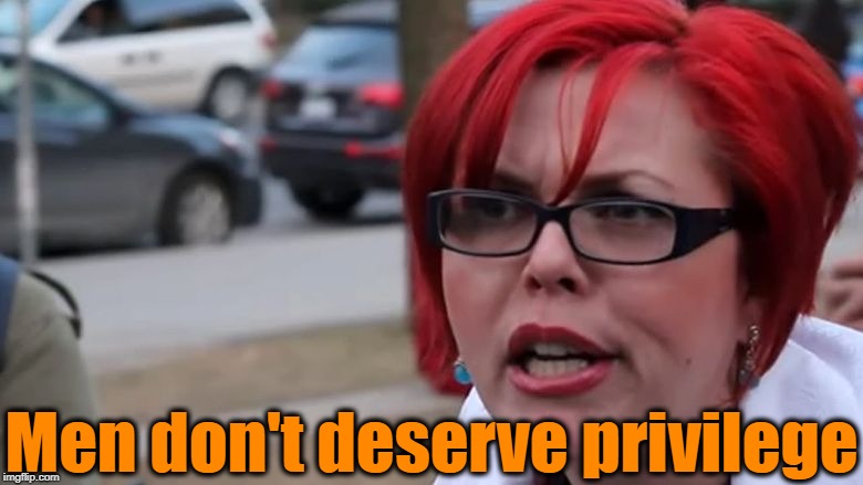  triggered | Men don't deserve privilege | image tagged in triggered | made w/ Imgflip meme maker