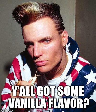 vanilla ice | Y’ALL GOT SOME VANILLA FLAVOR? | image tagged in vanilla ice | made w/ Imgflip meme maker