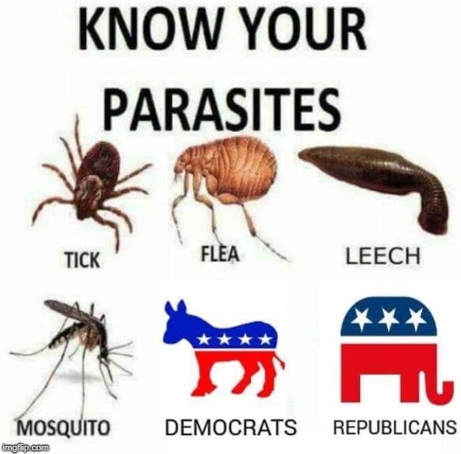 They all suck! | KNOW YOUR PARASITES; TICK; FLEA; LEECH; MOSQUITO; DEMOCRATS; REPUBLICANS | image tagged in parasites,parasite,democrats,republicans,politics suck,memes | made w/ Imgflip meme maker