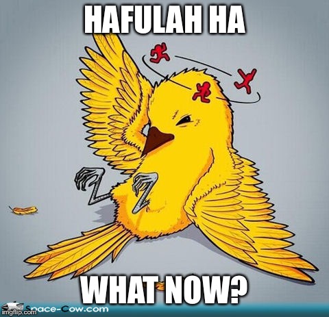 Dizzy | HAFULAH HA WHAT NOW? | image tagged in dizzy | made w/ Imgflip meme maker