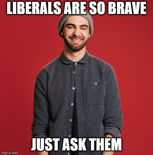 Liberal Soy Boy | LIBERALS ARE SO BRAVE; JUST ASK THEM | image tagged in liberal soy boy | made w/ Imgflip meme maker