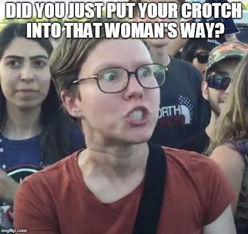 Triggered feminist | DID YOU JUST PUT YOUR CROTCH INTO THAT WOMAN'S WAY? | image tagged in triggered feminist | made w/ Imgflip meme maker