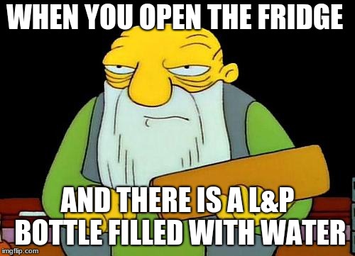 That's a paddlin' | WHEN YOU OPEN THE FRIDGE; AND THERE IS A L&P BOTTLE FILLED WITH WATER | image tagged in memes,that's a paddlin' | made w/ Imgflip meme maker