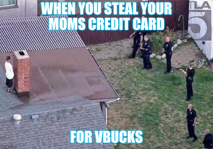 Fortnite meme | WHEN YOU STEAL YOUR MOMS CREDIT CARD; FOR VBUCKS | image tagged in fortnite meme | made w/ Imgflip meme maker