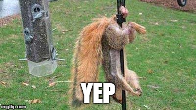 nuts | YEP | image tagged in nuts | made w/ Imgflip meme maker