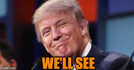 Trump smiling | WE'LL SEE | image tagged in trump smiling | made w/ Imgflip meme maker