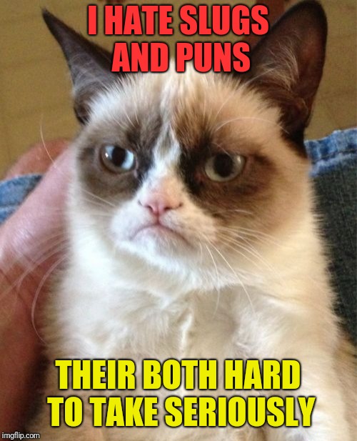 Grumpy Cat Meme | I HATE SLUGS AND PUNS; THEIR BOTH HARD TO TAKE SERIOUSLY | image tagged in memes,grumpy cat | made w/ Imgflip meme maker