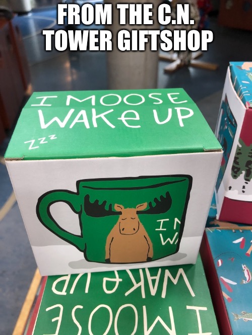 FROM THE C.N. TOWER GIFTSHOP | made w/ Imgflip meme maker