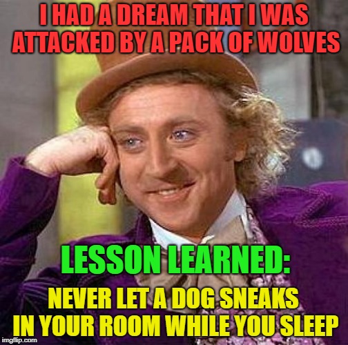 Creepy Condescending Wonka Meme | I HAD A DREAM THAT I WAS ATTACKED BY A PACK OF WOLVES; LESSON LEARNED:; NEVER LET A DOG SNEAKS IN YOUR ROOM WHILE YOU SLEEP | image tagged in memes,creepy condescending wonka,dogs | made w/ Imgflip meme maker