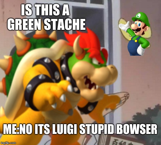 IS THIS A GREEN STACHE; ME:NO ITS LUIGI STUPID BOWSER | image tagged in is this a pigeon | made w/ Imgflip meme maker