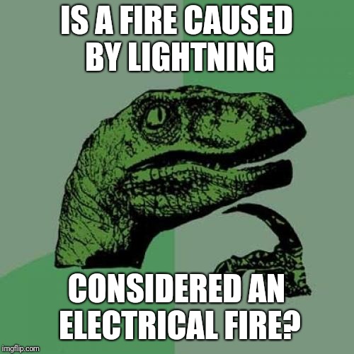 Philosoraptor Meme | IS A FIRE CAUSED BY LIGHTNING; CONSIDERED AN ELECTRICAL FIRE? | image tagged in memes,philosoraptor | made w/ Imgflip meme maker