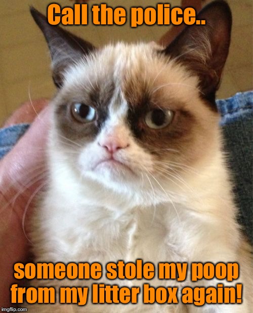 Grumpy Cat Meme | Call the police.. someone stole my poop from my litter box again! | image tagged in memes,grumpy cat | made w/ Imgflip meme maker