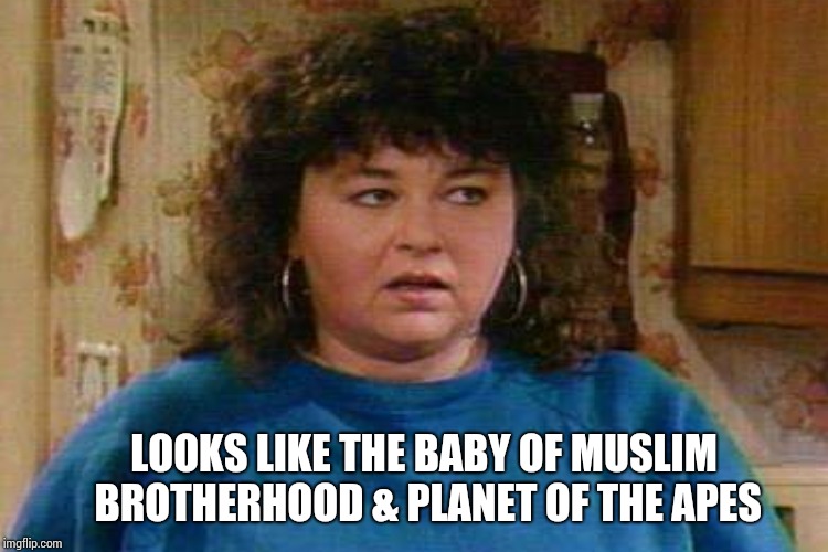 LOOKS LIKE THE BABY OF MUSLIM BROTHERHOOD & PLANET OF THE APES | made w/ Imgflip meme maker