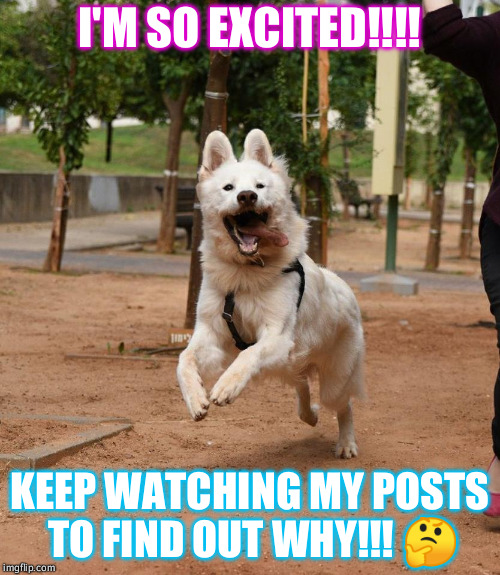 Overly excited dog | I'M SO EXCITED!!!! KEEP WATCHING MY POSTS TO FIND OUT WHY!!! 🤔 | image tagged in overly excited dog | made w/ Imgflip meme maker
