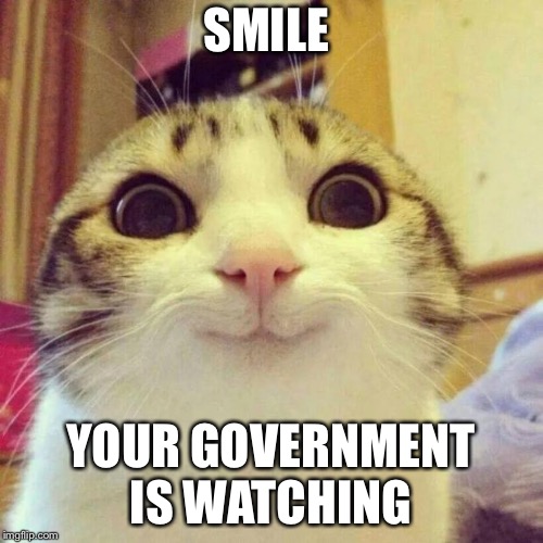Smiling Cat Meme | SMILE; YOUR GOVERNMENT IS WATCHING | image tagged in memes,smiling cat | made w/ Imgflip meme maker
