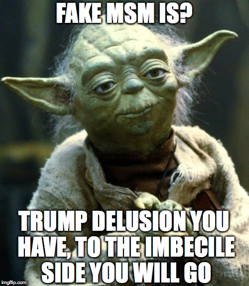 Star Wars Yoda Meme | FAKE MSM IS? TRUMP DELUSION YOU HAVE, TO THE IMBECILE SIDE YOU WILL GO | image tagged in memes,star wars yoda | made w/ Imgflip meme maker