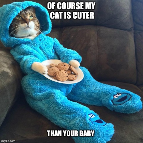 Cat's Pajamas | OF COURSE MY CAT IS CUTER; THAN YOUR BABY | image tagged in cat's pajamas | made w/ Imgflip meme maker