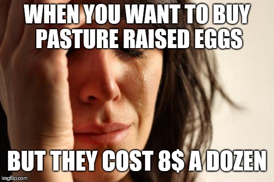 First World Problems | WHEN YOU WANT TO BUY PASTURE RAISED EGGS; BUT THEY COST 8$ A DOZEN | image tagged in memes,first world problems | made w/ Imgflip meme maker