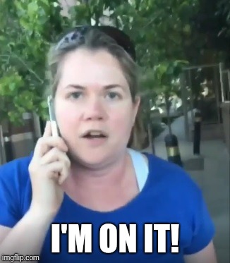 Permit Patty | I'M ON IT! | image tagged in permit patty | made w/ Imgflip meme maker