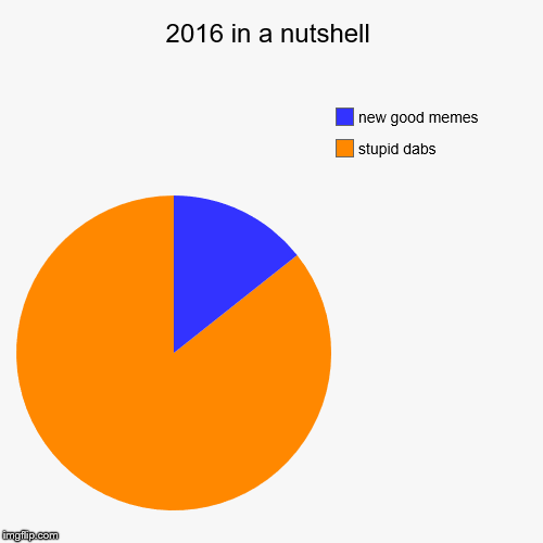 2016 in a nutshell | stupid dabs, new good memes | image tagged in funny,pie charts | made w/ Imgflip chart maker
