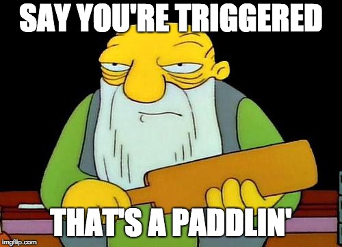 That's a paddlin' Meme | SAY YOU'RE TRIGGERED; THAT'S A PADDLIN' | image tagged in memes,that's a paddlin' | made w/ Imgflip meme maker