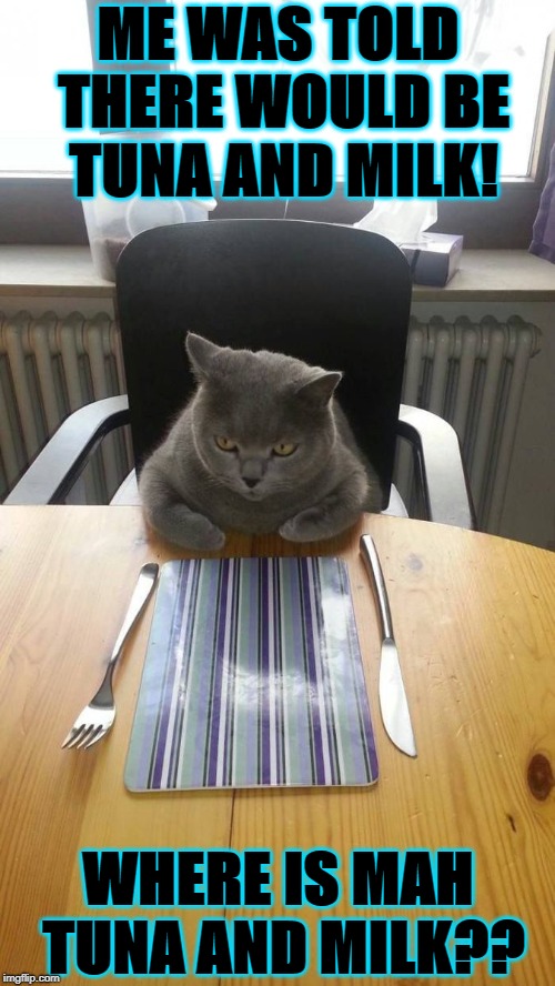 DINNER PLEASE | ME WAS TOLD THERE WOULD BE TUNA AND MILK! WHERE IS MAH TUNA AND MILK?? | image tagged in dinner please | made w/ Imgflip meme maker