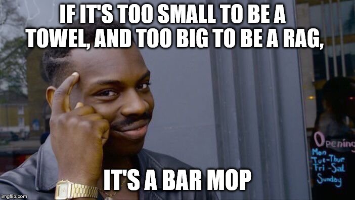 Roll Safe Think About It | IF IT'S TOO SMALL TO BE A TOWEL, AND TOO BIG TO BE A RAG, IT'S A BAR MOP | image tagged in memes,roll safe think about it | made w/ Imgflip meme maker