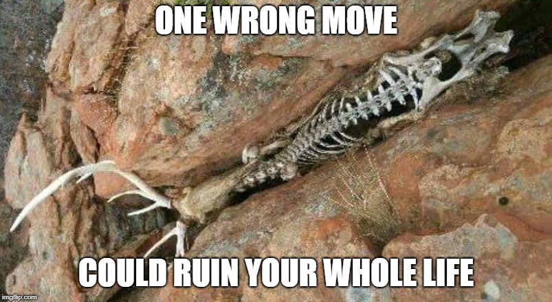ONE WRONG MOVE; COULD RUIN YOUR WHOLE LIFE | image tagged in one wrong move,ruined life,oops,dang | made w/ Imgflip meme maker