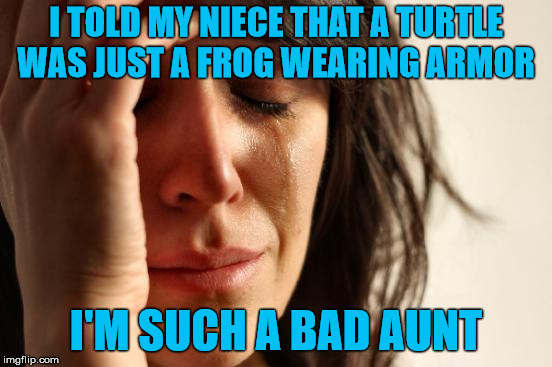 First World Problems Meme | I TOLD MY NIECE THAT A TURTLE WAS JUST A FROG WEARING ARMOR I'M SUCH A BAD AUNT | image tagged in memes,first world problems | made w/ Imgflip meme maker