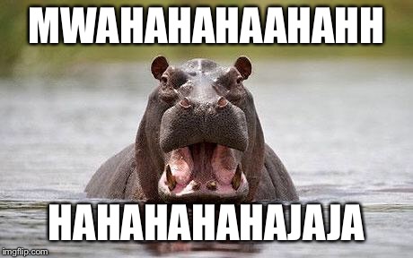 Evil Hippo 03 | MWAHAHAHAAHAHH HAHAHAHAHAJAJA | image tagged in evil hippo 03 | made w/ Imgflip meme maker