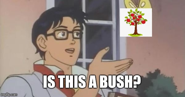 Is This a Pigeon | IS THIS A BUSH? | image tagged in is this a pigeon | made w/ Imgflip meme maker