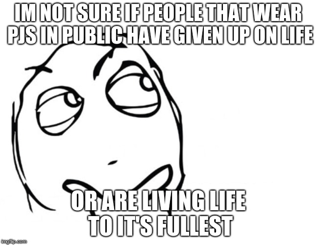 hmmm | IM NOT SURE IF PEOPLE THAT WEAR PJS IN PUBLIC HAVE GIVEN UP ON LIFE; OR ARE LIVING LIFE TO IT'S FULLEST | image tagged in hmmm | made w/ Imgflip meme maker