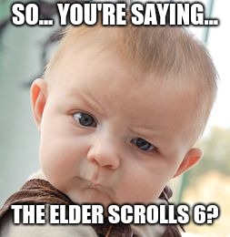 Skeptical Baby Meme | SO... YOU'RE SAYING... THE ELDER SCROLLS 6? | image tagged in memes,skeptical baby | made w/ Imgflip meme maker