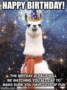 Happy Birthday Alpaca | HAPPY BIRTHDAY! THE BIRTDAY ALPACA WILL BE WATCHING YOU ALL DAY TO MAKE SURE YOU HAVE LOTS OF FUN | image tagged in happy birthday alpaca | made w/ Imgflip meme maker