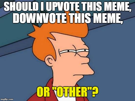 Futurama Fry Meme | SHOULD I UPVOTE THIS MEME, OR "OTHER"? DOWNVOTE THIS MEME, | image tagged in memes,futurama fry | made w/ Imgflip meme maker