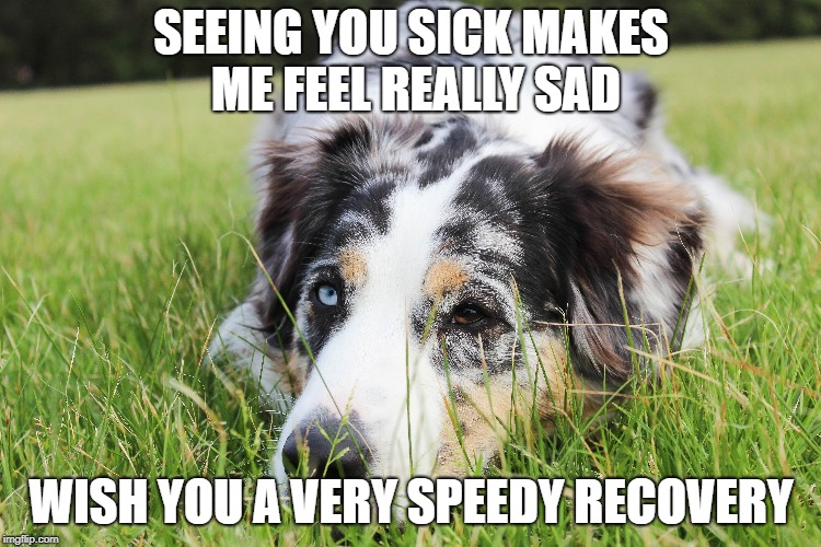 SEEING YOU SICK MAKES ME FEEL REALLY SAD; WISH YOU A VERY SPEEDY RECOVERY | made w/ Imgflip meme maker