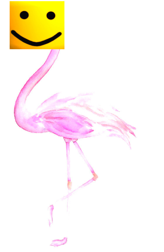 Roblox Flamingo Blank Template Imgflip - flamingo roblox meme border