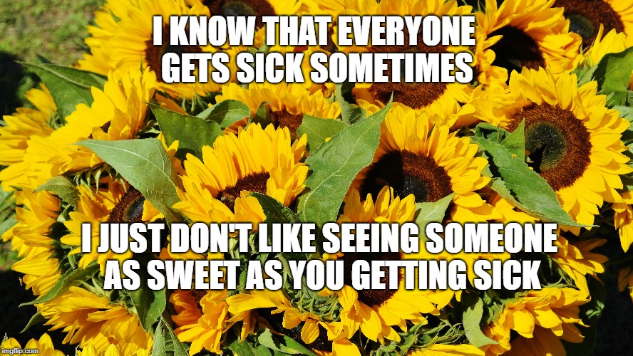 I KNOW THAT EVERYONE GETS SICK SOMETIMES; I JUST DON'T LIKE SEEING SOMEONE AS SWEET AS YOU GETTING SICK | made w/ Imgflip meme maker