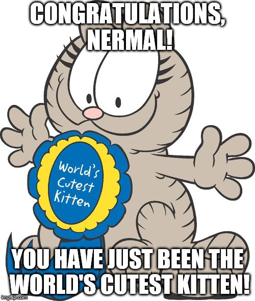 Nermal | CONGRATULATIONS, NERMAL! YOU HAVE JUST BEEN THE WORLD'S CUTEST KITTEN! | image tagged in nermal | made w/ Imgflip meme maker