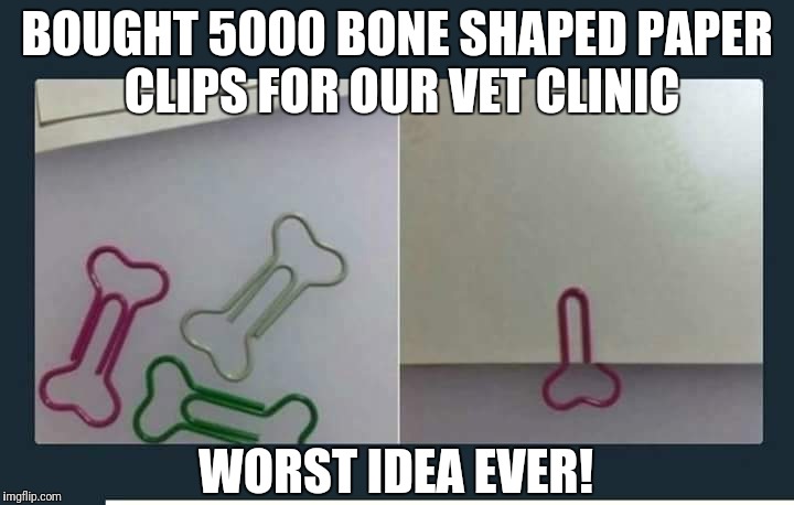 Boned BOUGHT 5000 BONE SHAPED PAPER CLIPS FOR OUR VET CLINIC; WORST IDEA EV...